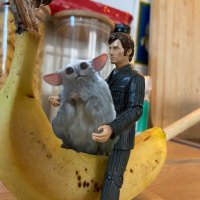 iris 🌚 & katie 🐸 (@beepthedavid) 's Twitter Profile