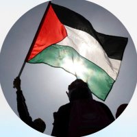 Detroit & Washtenaw for Palestine(@washco4plstn) 's Twitter Profile Photo