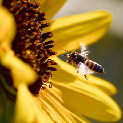Angel2276871755's profile picture. ...