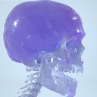 LauraCa (@lauraca70812128) 's Twitter Profile