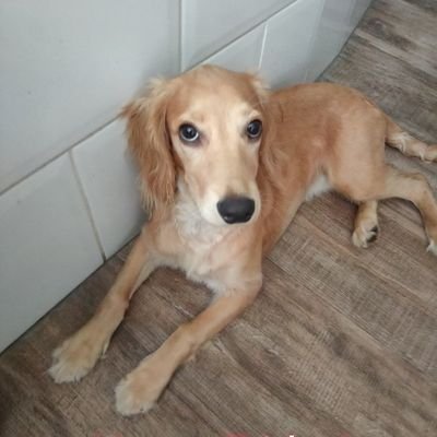AdaCoinCardano's profile picture. Money should be everyone's.