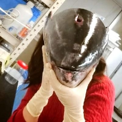 sa_chix's profile picture. 