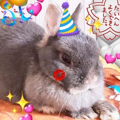 雑多垢|うさぎ🐰もこ🌈9歳4か月、🐰むむ🌈12歳7か月|👹⚔️は☀️🌙❄️推し|好き➡️自然&現象全般、ぬいぐるみ等
|手帳2級。骨粗鬆症。発達障がい(ASD/ADHD) 、鬱病、社会不安障害|
ヘッダー:@yuchausa3 様🙏