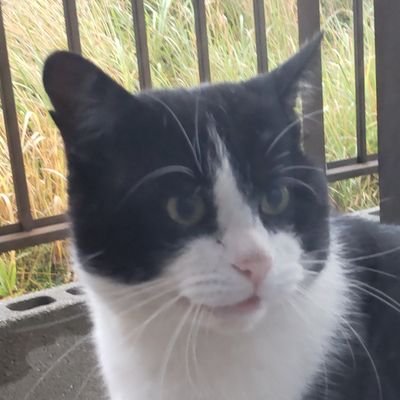 ふゆこさんのプロフィール画像
