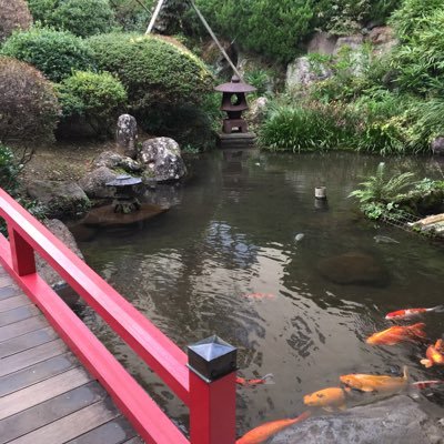 This is my private account. If you are interested in my public posts,please see my public account→@europa_2131