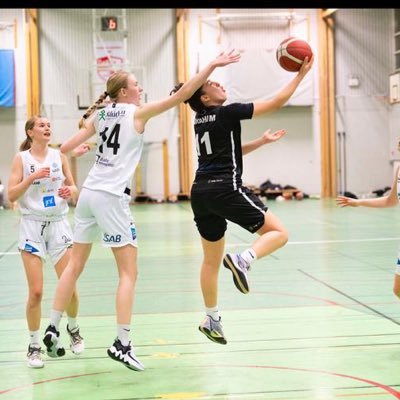 🇸🇪Swedish basketball player||C/O 2025||5’8 combo guard|| Ellinoriibrahim@gmail.com