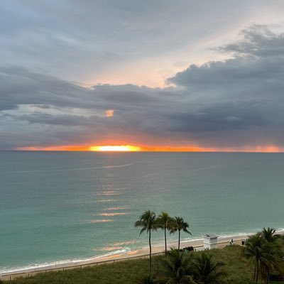 domhaccoun's profile picture. 