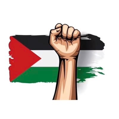 Manchester United Fan- Love Travel - Gym Enthusiast - Free Palestine 🇵🇸