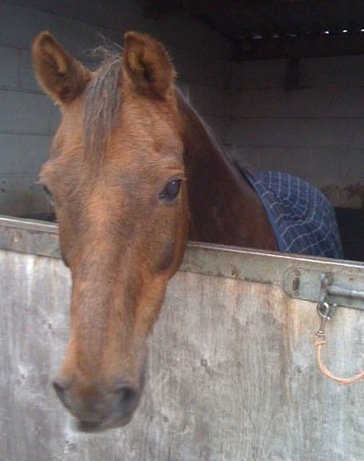 emilyoliviaflas's profile picture. Mother of 2, wife of 28 years, older but not wiser than most, follower and friend of Jesus, knowing 2017 is a year of kairos moments and exciting times.