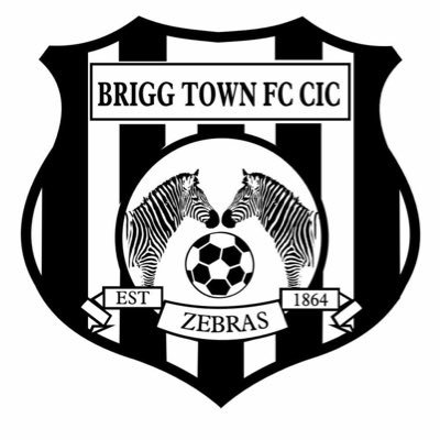 Brigg Town were formed in 1864 and are the 7th oldest club in the world, and officially the oldest town club. 🦓🦓