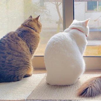 Yellow968740's profile picture. 