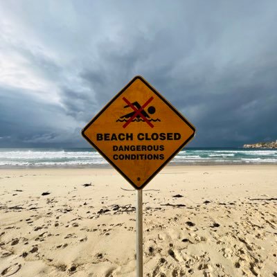 MKiwee's profile picture. 