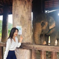 Smouthep (@smouthep42687) 's Twitter Profile