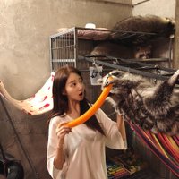 Seauppees (@seauppees14710) 's Twitter Profile