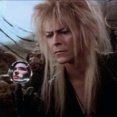 labyrinth photos, facts & news 📕