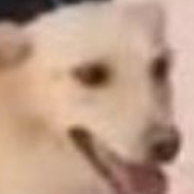 xDkkTjX6's profile picture. 