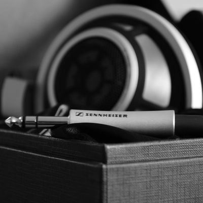 night77_wolf's profile picture. 