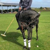 Abdul (@abdul__warith) 's Twitter Profile