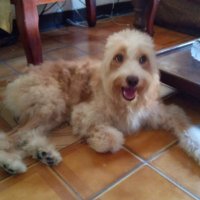 MICHAEL QUIROLA (@zhagui_miguel) 's Twitter Profile