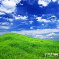 Tosothay (@tosothay48569) 's Twitter Profile