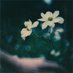 Smeathe (@smeathe131582) Twitter profile photo Smeathe (@smeathe131582) Twitter profile photo