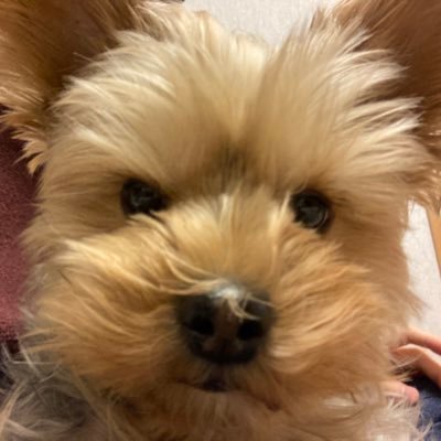 hjipon's profile picture. 