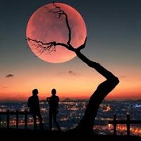 Sheta (@sheta1736551) 's Twitter Profile