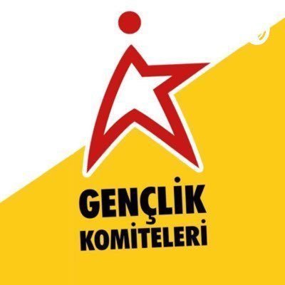 Gençliğin iletişim, dayanışma, mücadele ağı | Gençlik Komiteleri (@komiteler) Eskişehir yetkili hesabı.