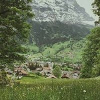 Sirrip (@sirrip244714) 's Twitter Profile