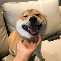 Tesotes (@tesotes236538) 's Twitter Profile