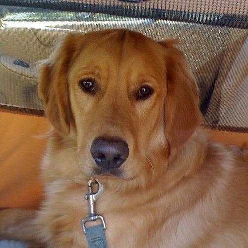 marydhporter's profile picture. 