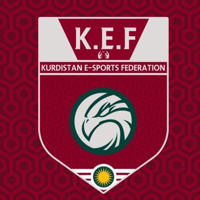 Kurdistan National Team - Esports