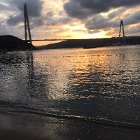 jeettlee🇹🇷 (@typerjetlee) Twitter profile photo