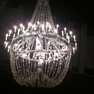 Lmontx's profile picture. adam lambert and labradoodle fan