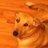 BalonlyLisa's profile image