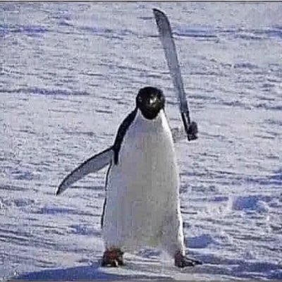 SneakyReblNinja's profile picture. Sports. Boring life stuff. I don’t really post, just reply and interact on other people’s stuff…is anyone still reading this?