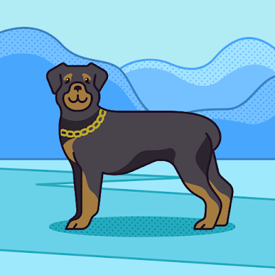 wandahardy714's profile picture. 