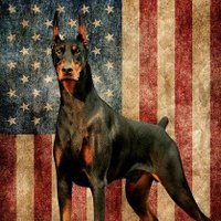 Dobie-Man ๐บ๐ฒ (@dobie_man4) 's Twitter Profile