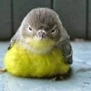 ksksksoskskd's profile picture. .