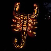 Optimism prime (@14_13e) 's Twitter Profile