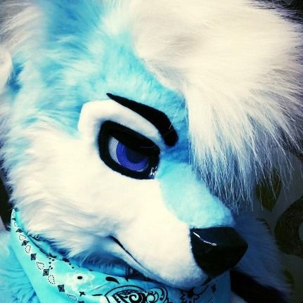 NB 
Suit by One Eyed Doe 
Just a ditzy blue pup! guitar/fashion/cars/YouTube. 💙⭐️ Instagram (@jemstar_husky)