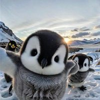 Melvina (@sloothoo43882) Twitter profile photo