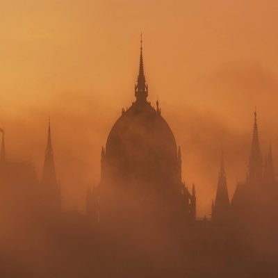 mvm_71's profile picture. لا إله إلا الله محمد رسول الله