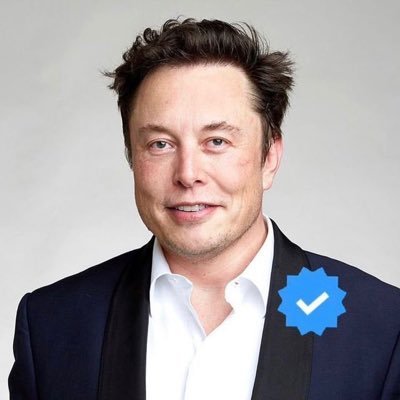elonmusk281019's profile picture. 