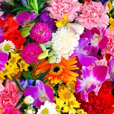 morimoriayapooh's profile picture. SixTONES💚寄り箱推し💎嵐❤️💚箱推し🍀同担他担OK😘悪口言う人はお断り😣掛け持ち🆗な方仲良くしてください🥺アラスト担♡大人ヲタ♡のんびり応援してます♡