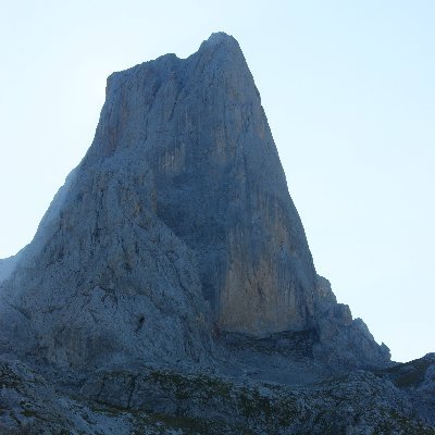 Rorcual_Comun's profile picture. Empatia