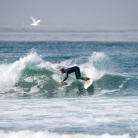 Frothycrypto (@frothycrypto613) 's Twitter Profile