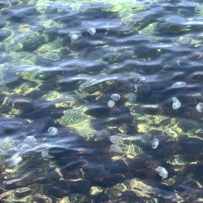 nakatomo8819's profile picture. 