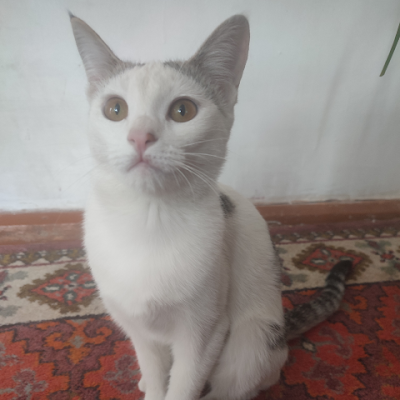 Xosiyat978299's profile picture. 