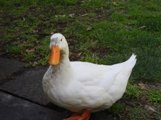 motherbuzza's profile picture. 